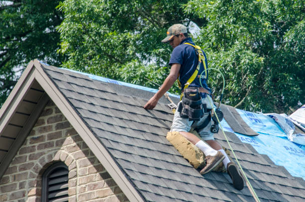 Tile Roofing Contractor in Berkley, MI